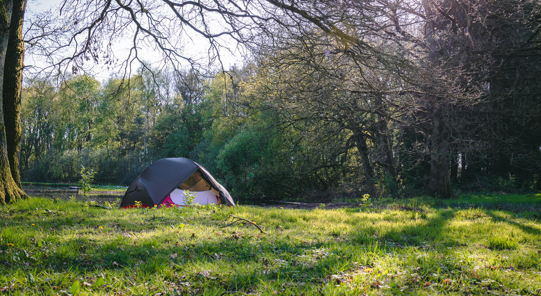 Romantic and private camping at the smallest campsites in the Netherlands