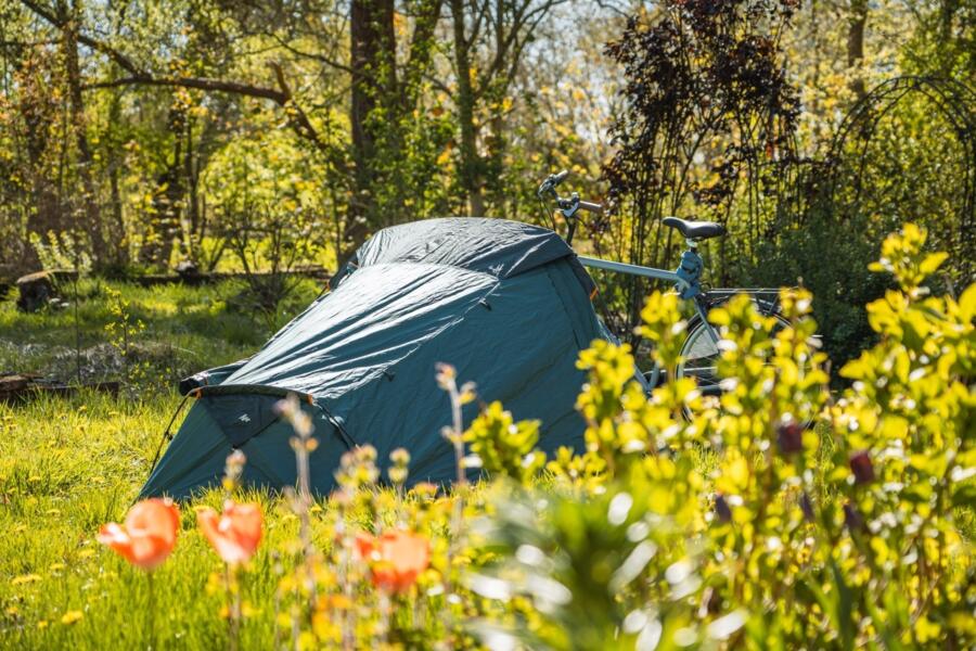 Les environs de Lommel: 5 campings pour se rapprocher de la nature