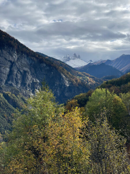 Plongez dans la nature sauvage des Gorges de l'Ardèche : notre sélection de campings