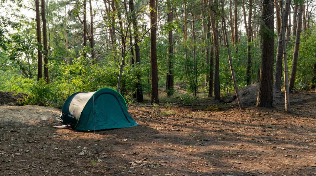 Mini campings in the woods