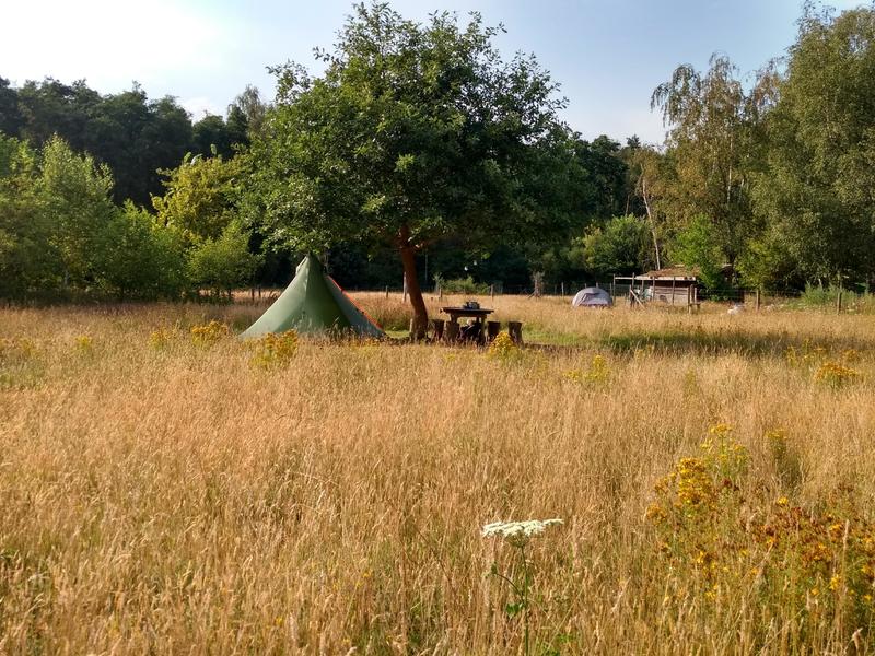 Top 3 Campspaces in Limburg, NL