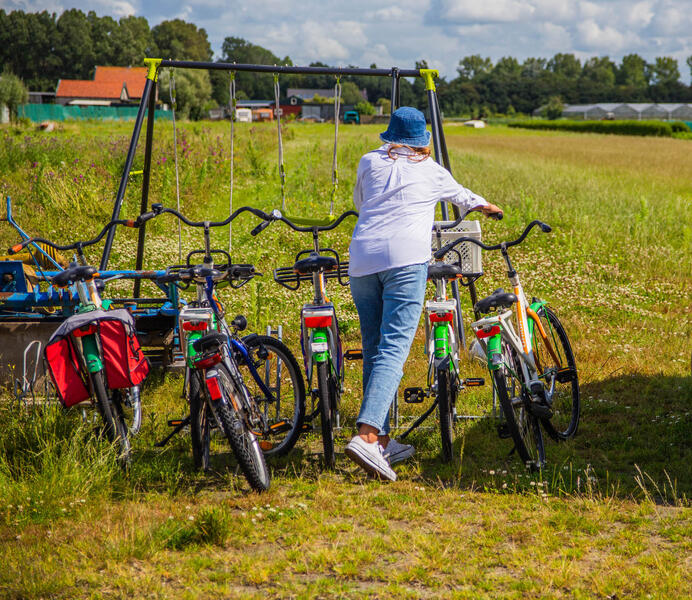 How to have an adventure without a car in the Netherlands