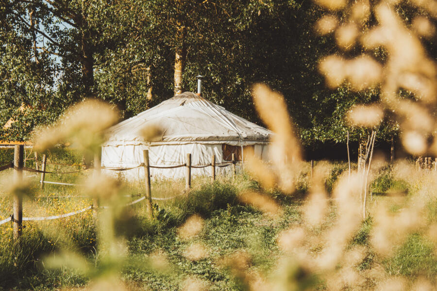 Glamping in the Netherlands