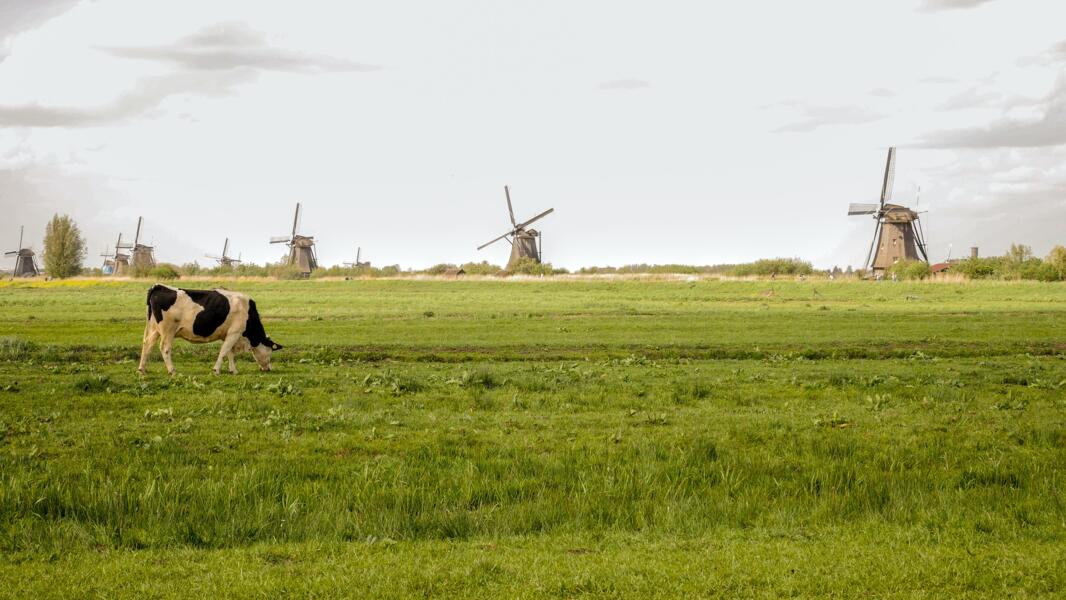 Wohnmobil-Glück: Von Utrecht aus die reizvolle niederländische Landschaft erkunden