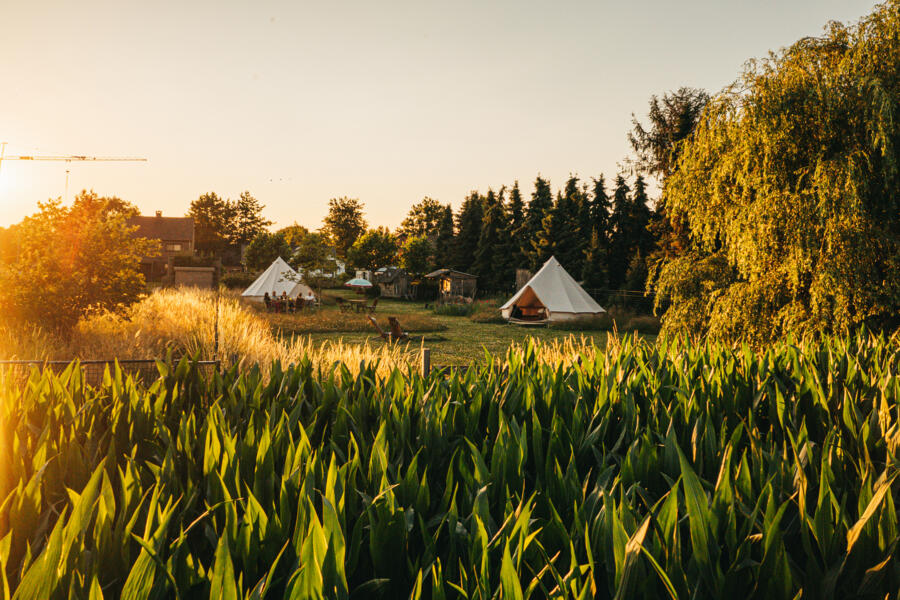 A glamping stay at Belgian campspace Oplaadpnt