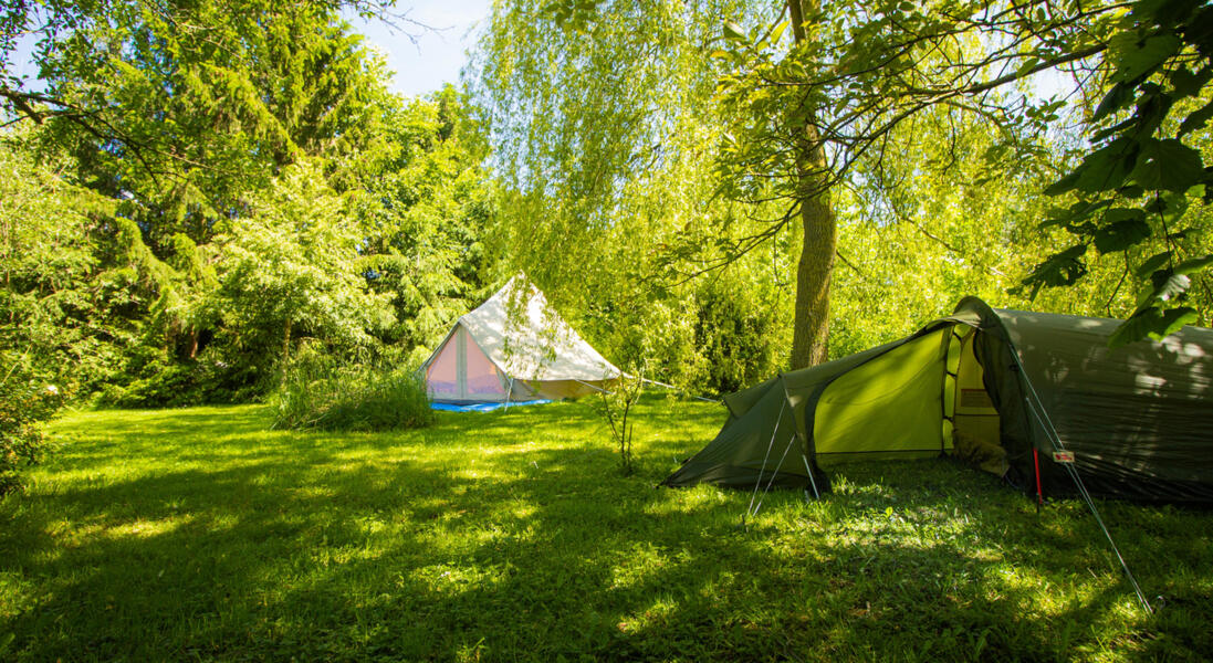 Budget-friendly campsites in Belgium