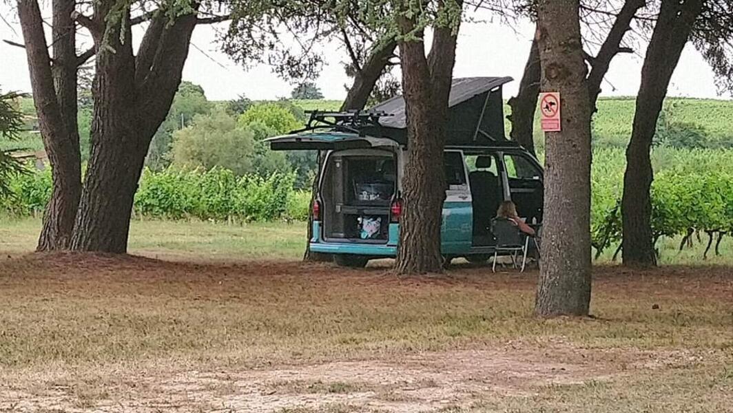 camping Landelijke camping in de Gironde: ontdekking van de wijnbouw in het hart van een wijngaard