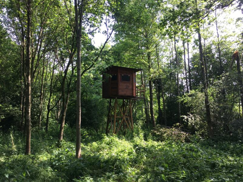camping Het Hak Hout: Vogel hut in de buurt van de Utrechtse heuvelrug