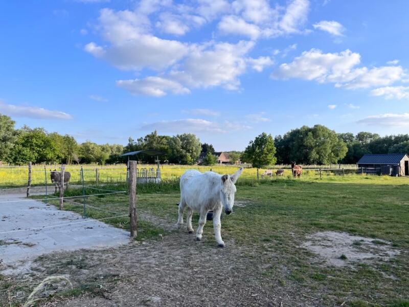 camping Bij de ezels in Berg, Vlaams-Brabant
