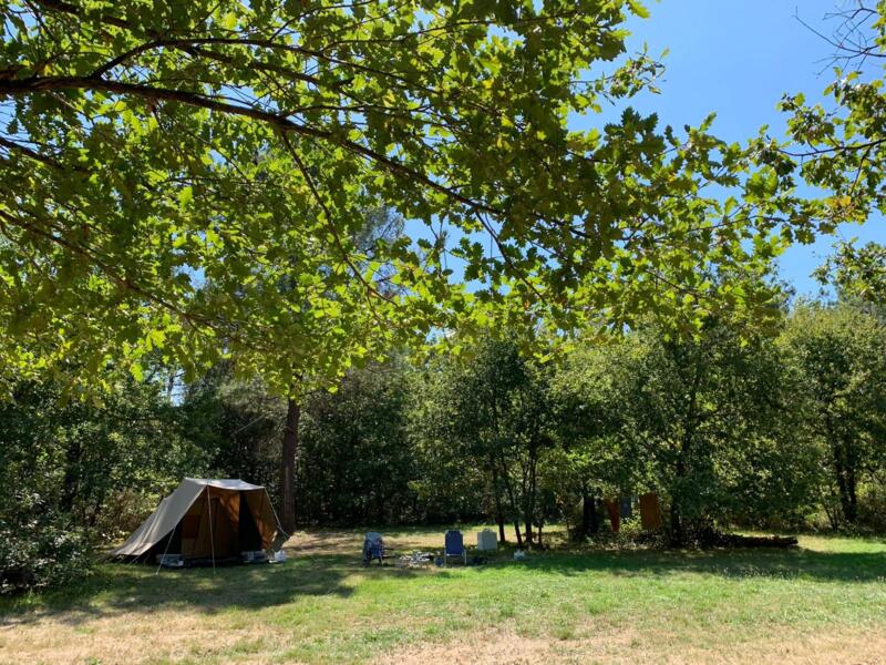 camping Groene camping tussen de wijngaarden