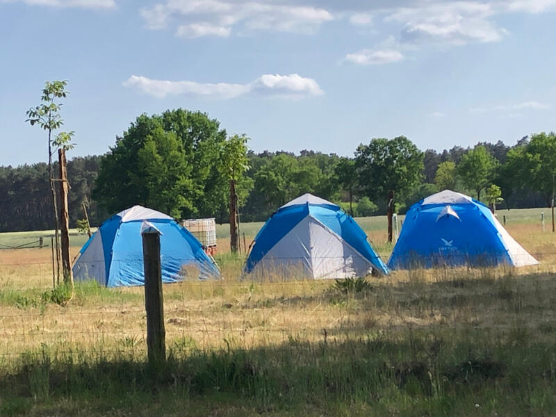 camping Campspace in Langendorf (Elbe), Nedersaksen