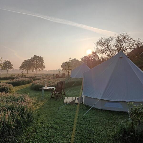 camping rustige minicamping De Langenbrinck Eerlijk Heerlijk (tents & adults only)