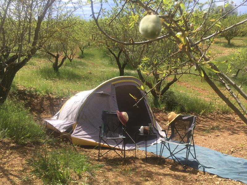 camping Overnachten in de tuin van Casilla de los Tajos, amandelboomgaard in Z-Spanje