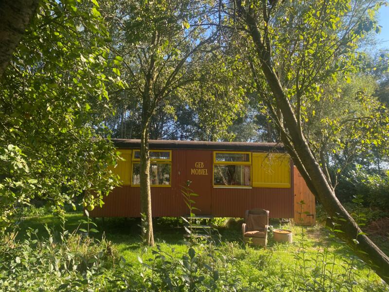 camping Campspace in Dalerpeel, Drenthe