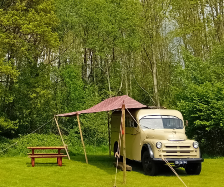 camping Wodan, stoere bus in het bos