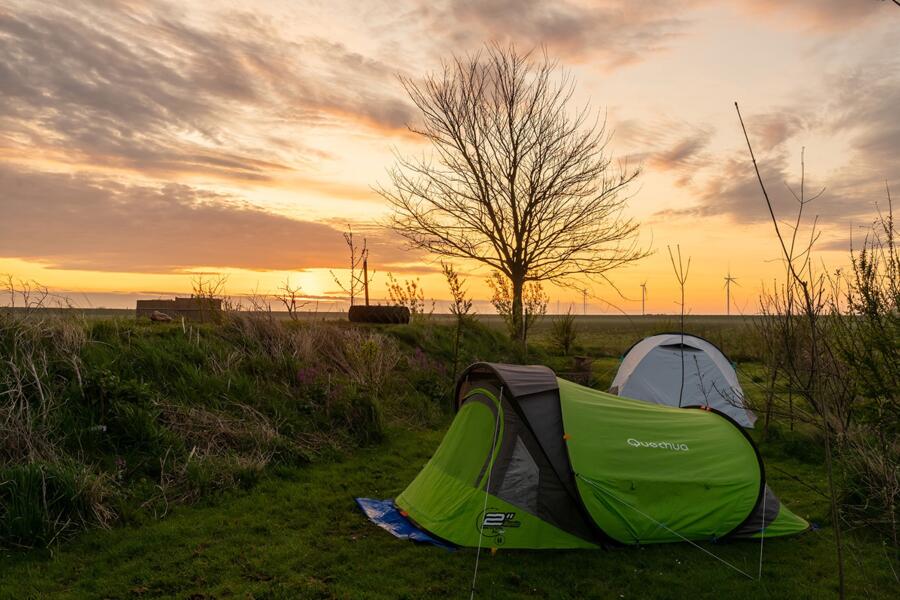 camping Camping Johanna's Bos in jong voedselbos midden in het polderlandschap
