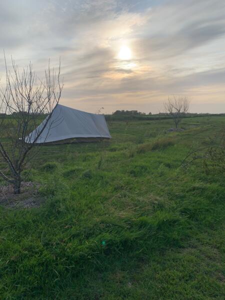 camping Campspace in Britswert, Friesland