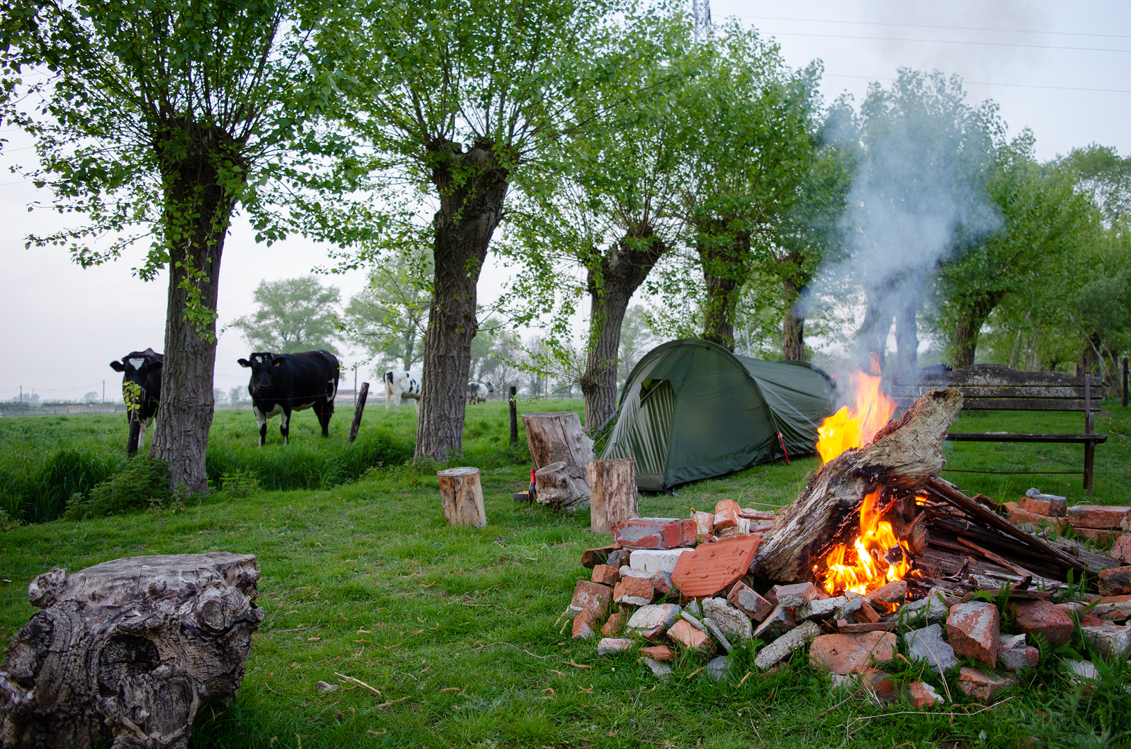 camping activities tent bonfire