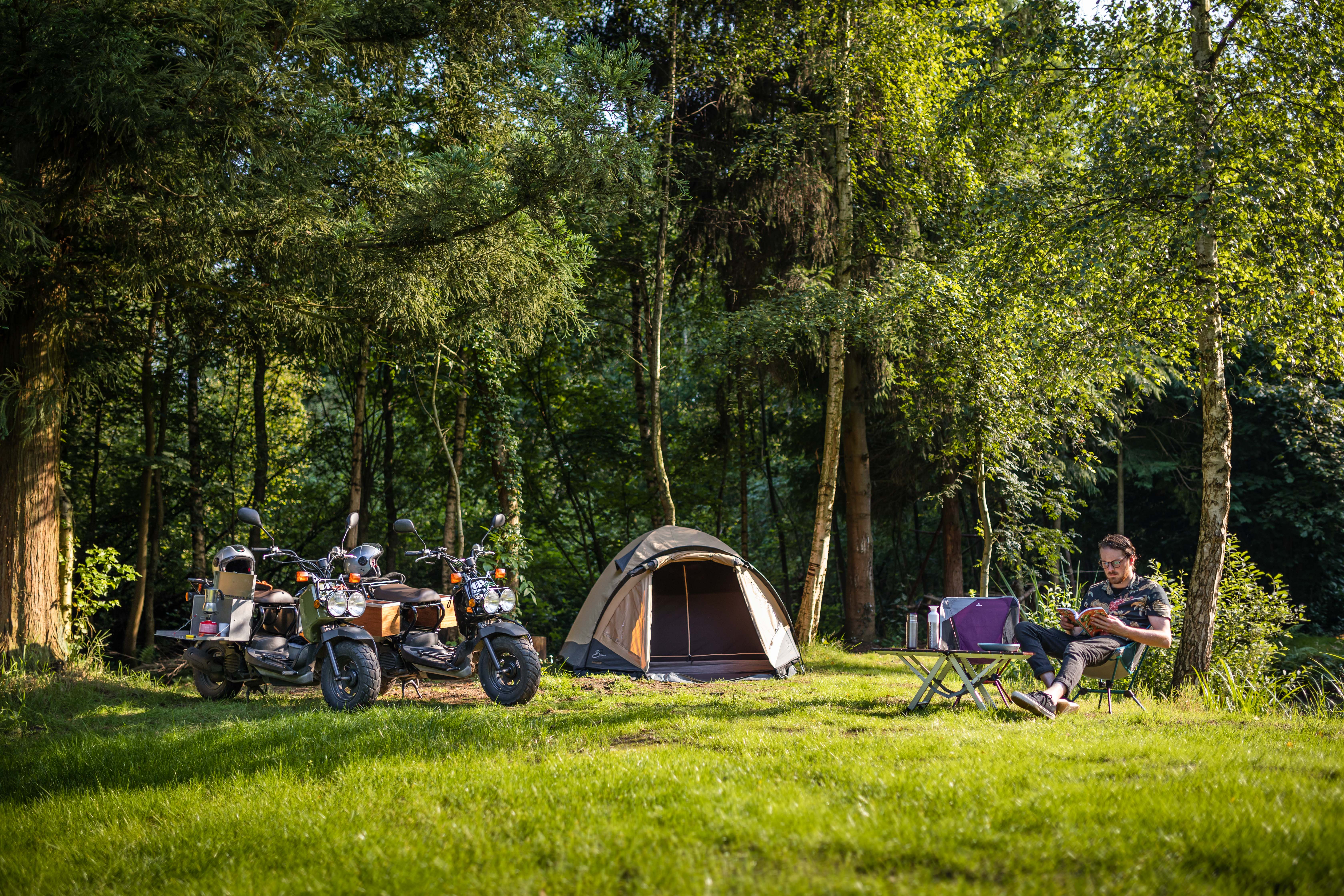 Waldcamping, Waldcampingplatz, Camping in der Natur Belgien