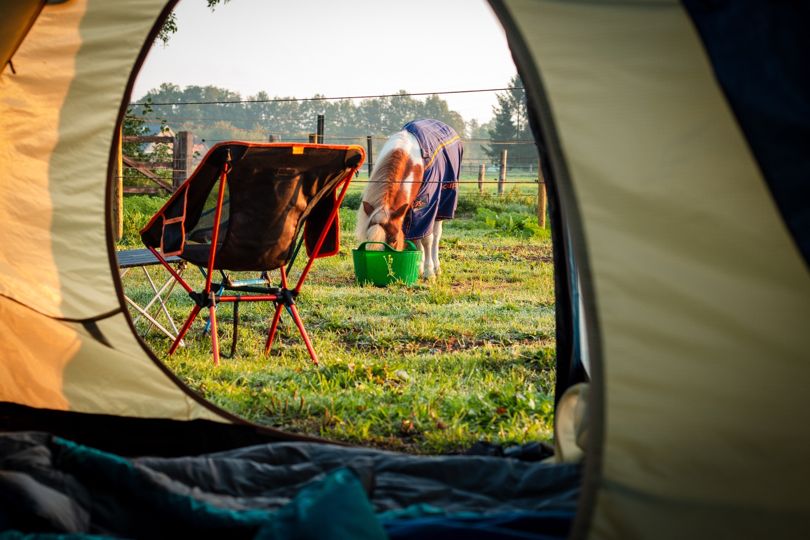 Camping auf dem Bauernhof - Bauernhofcamping neben Pferdekoppel