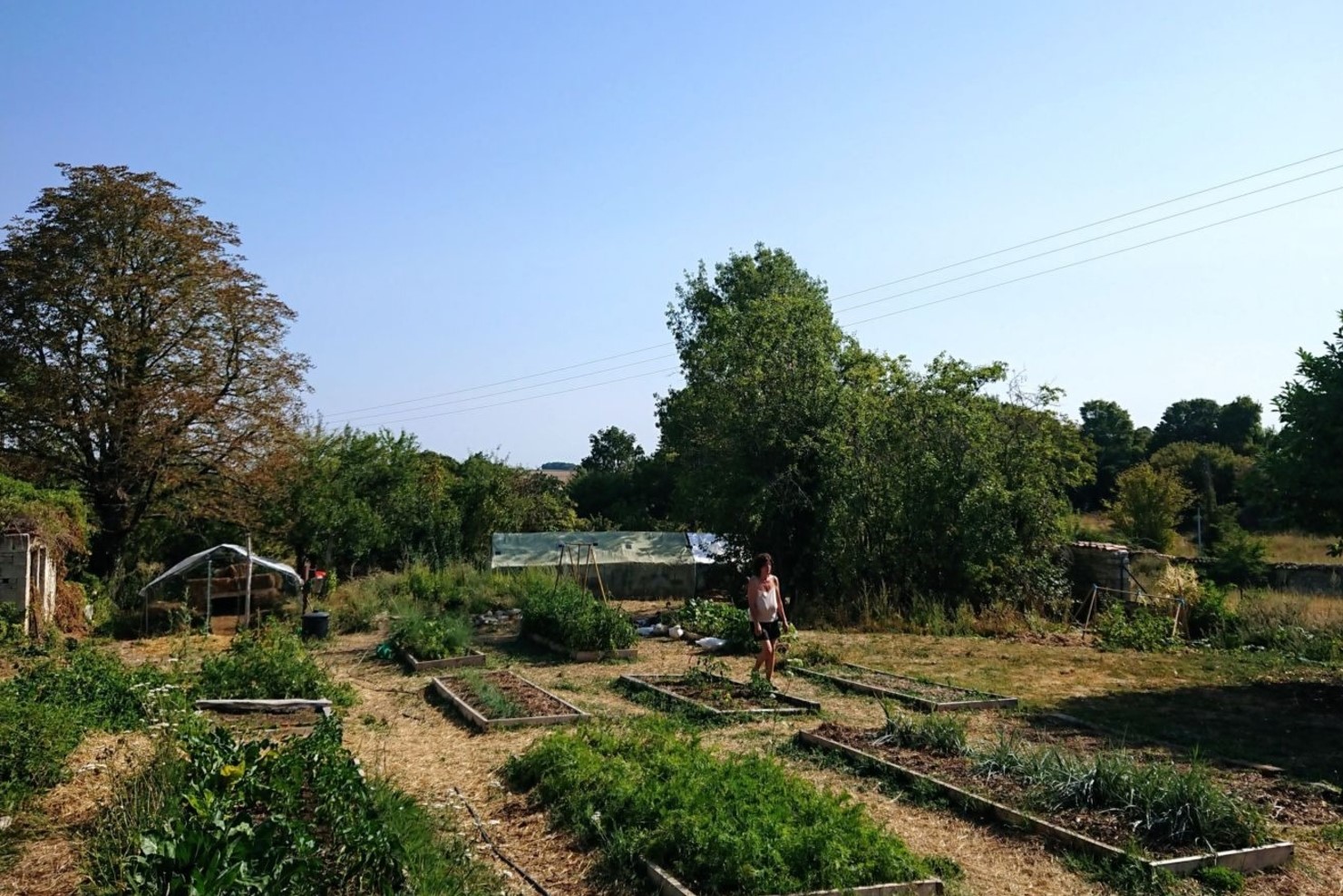 permaculture host France