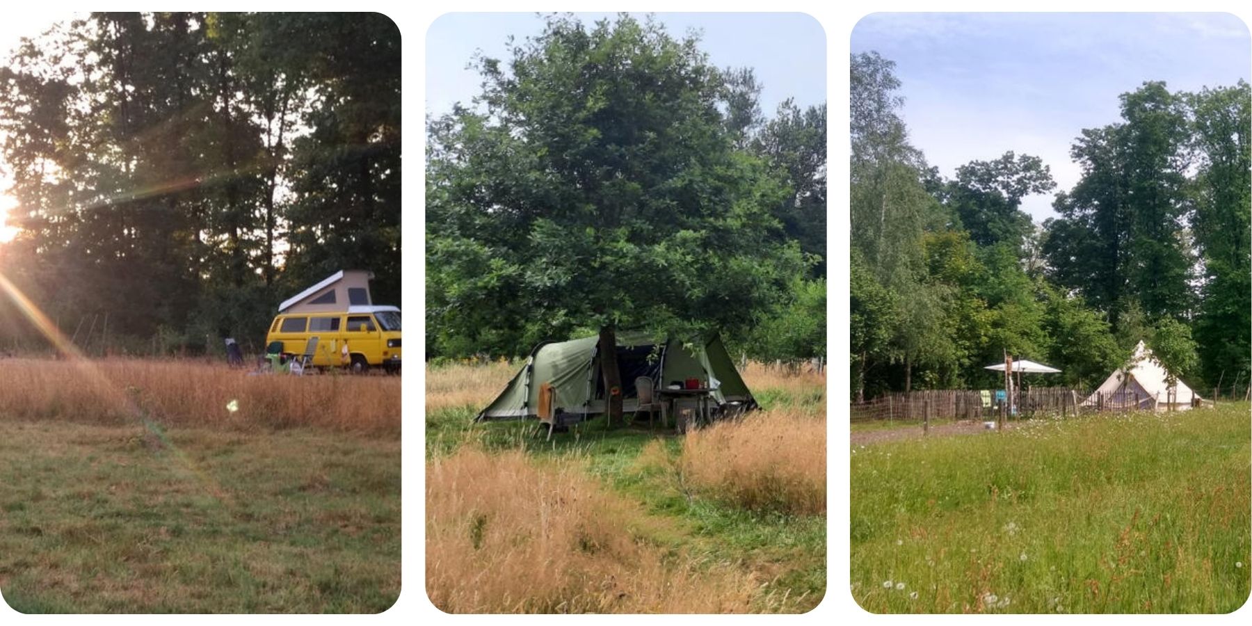 campervan in the meadows, tipi tent in the flower garden and a forest in the background