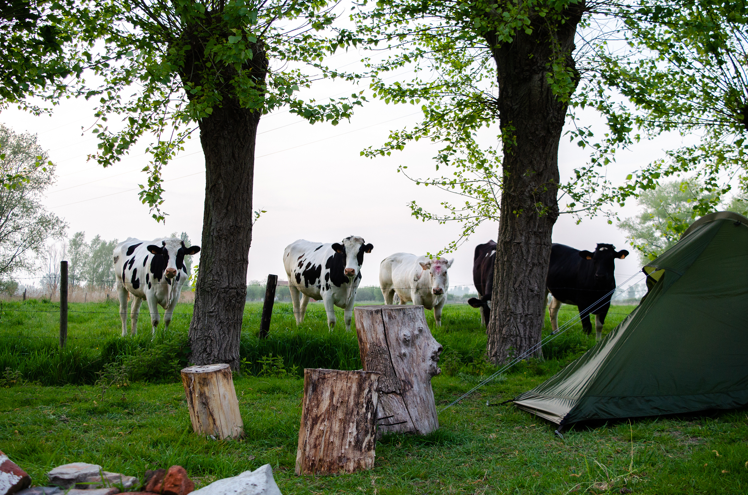 Campspace Camping auf dem Bauernhof